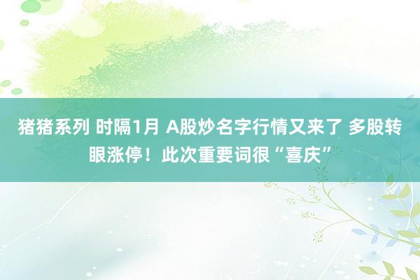 猪猪系列 时隔1月 A股炒名字行情又来了 多股转眼涨停！此次重要词很“喜庆”
