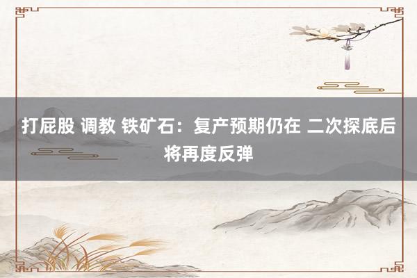 打屁股 调教 铁矿石：复产预期仍在 二次探底后将再度反弹