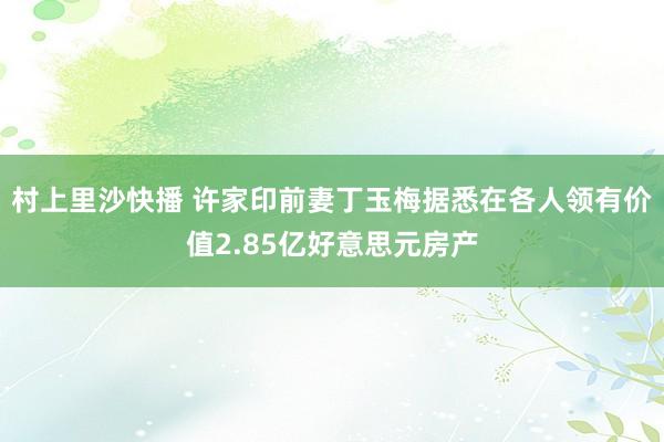 村上里沙快播 许家印前妻丁玉梅据悉在各人领有价值2.85亿好意思元房产