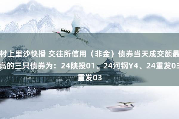 村上里沙快播 交往所信用（非金）债券当天成交额最高的三只债券为：24陕投01、24河钢Y4、24重发03
