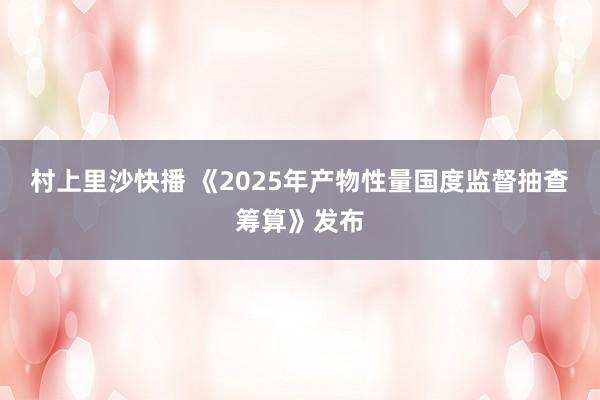 村上里沙快播 《2025年产物性量国度监督抽查筹算》发布