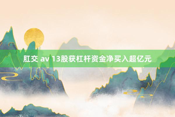 肛交 av 13股获杠杆资金净买入超亿元
