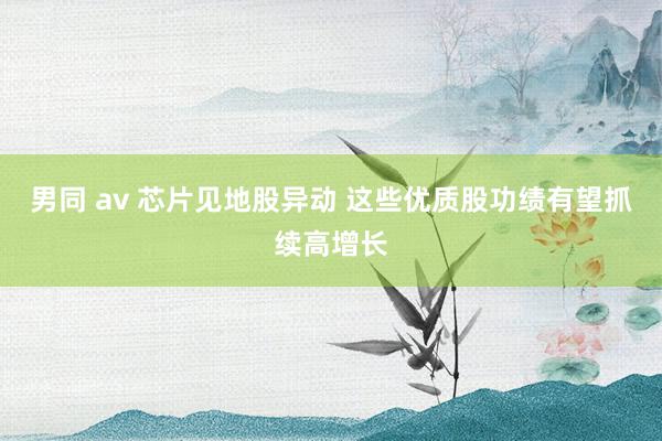男同 av 芯片见地股异动 这些优质股功绩有望抓续高增长