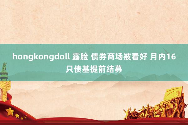 hongkongdoll 露脸 债券商场被看好 月内16只债基提前结募